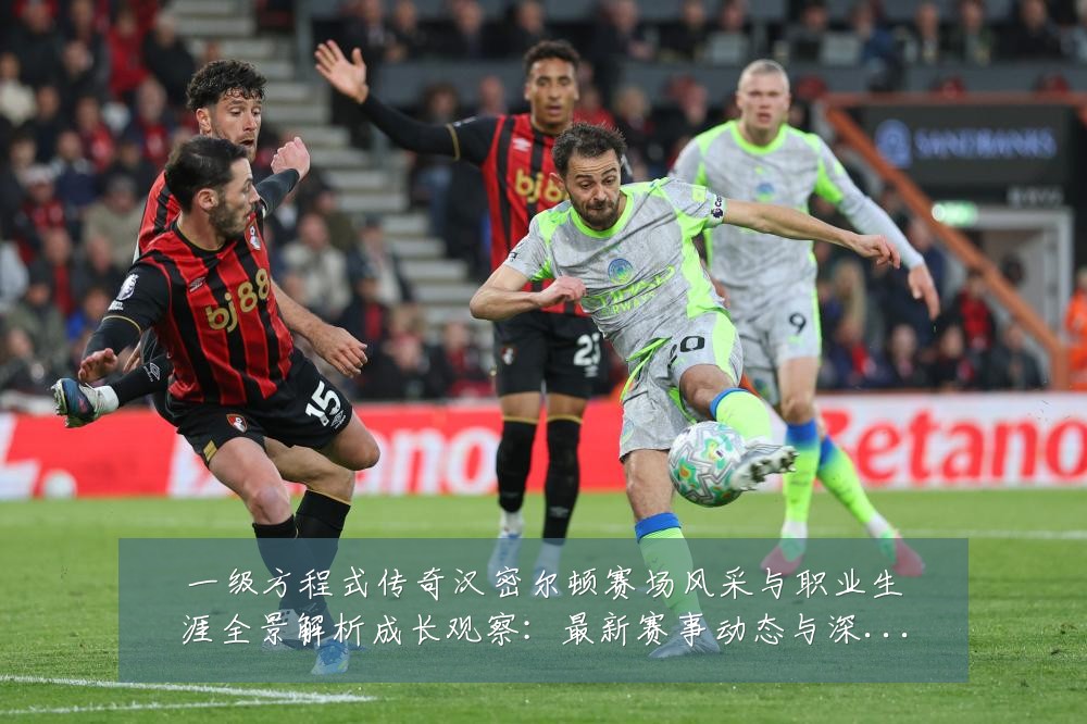 一级方程式传奇汉密尔顿赛场风采与职业生涯全景解析成长观察：最新赛事动态与深度分析